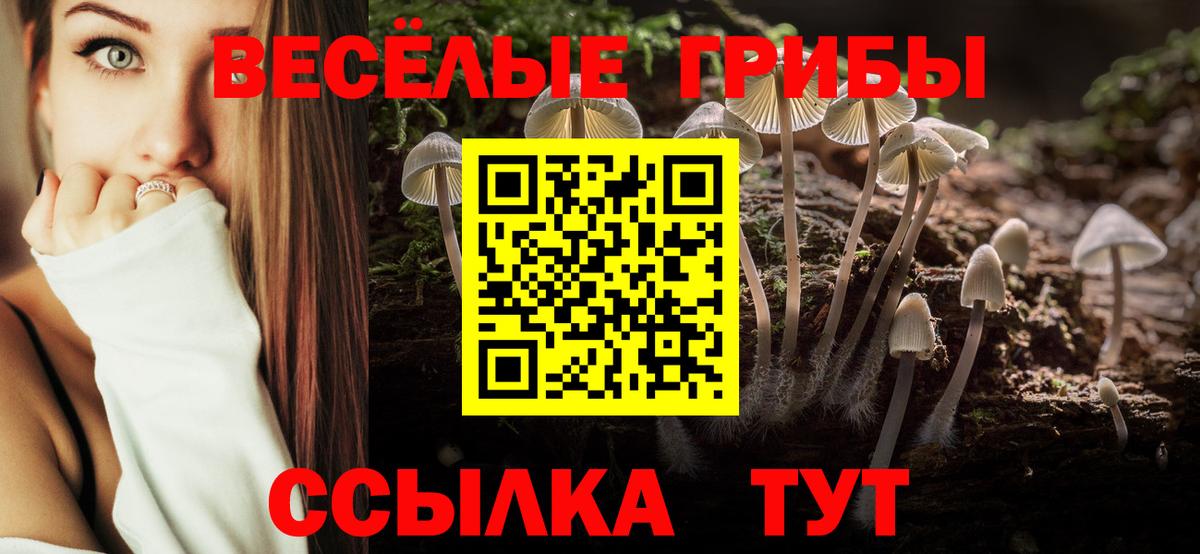 Галлюциногенные грибы прущие грибы Владимир